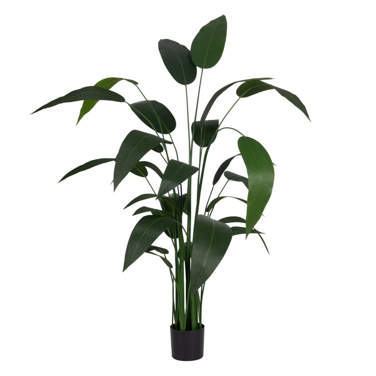 The Seasonal Aisle 220cm Faux Plant in Pot Wayfair.co.uk